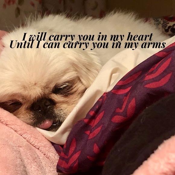 ⭐️Welcome!⭐️ - Picture 5 of 6